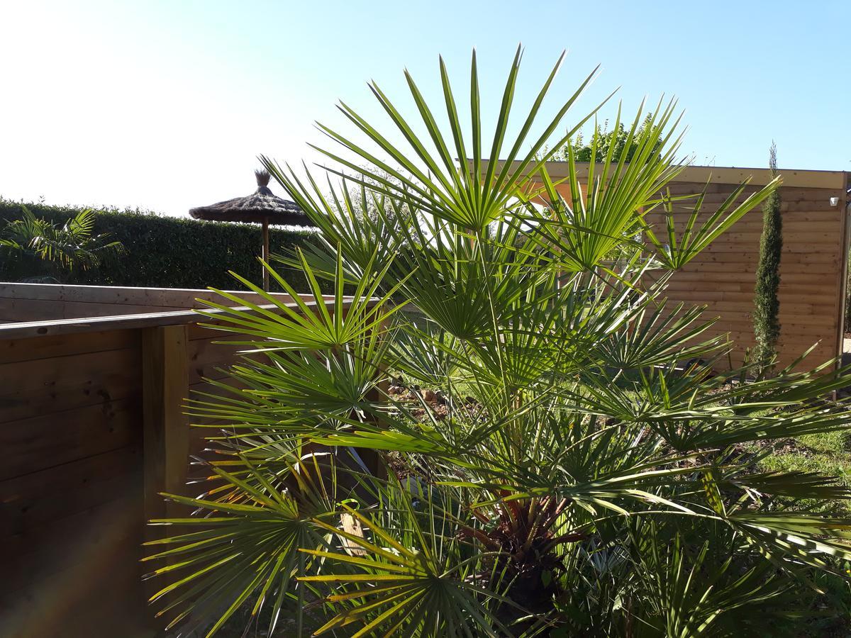 Вилла Les Pilotis Du Cognac Bourg-Charente Экстерьер фото